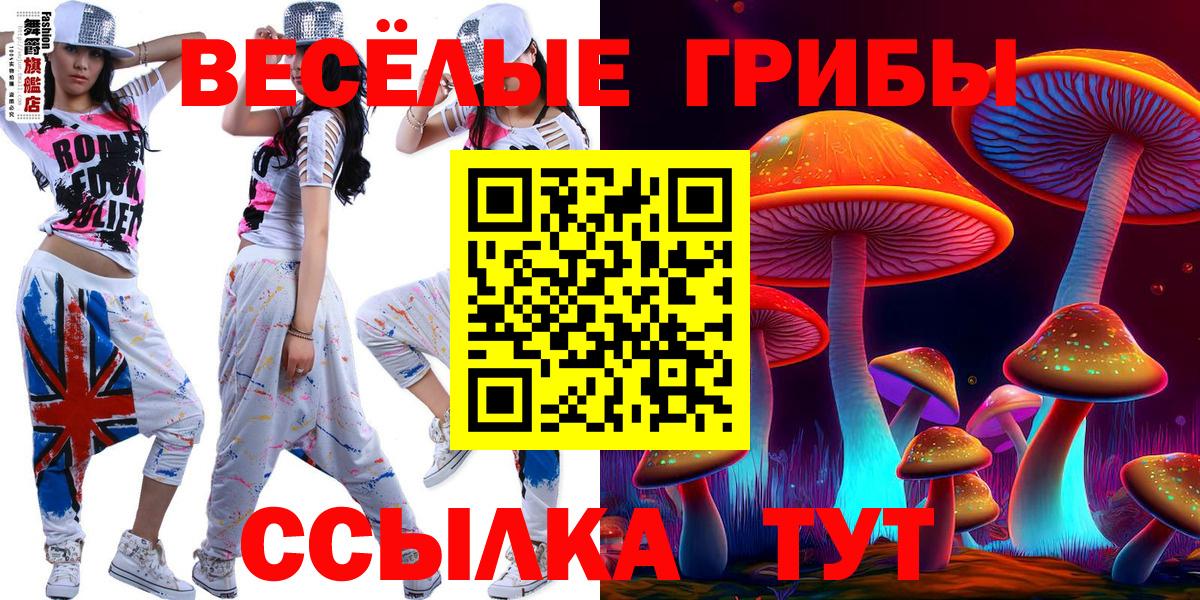 Псилоцибиновые грибы прущие грибы  Вход с VPN  наркотики  Иваново  Галлюциногенные грибы Psilocybe 