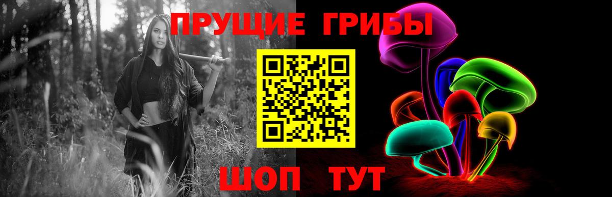 Псилоцибиновые грибы прущие грибы Иваново